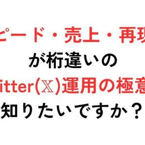 ★【なまいきくん】【The. X 】 複数アカウント&最短1ヶ月で月収100万円を達成した、 なまいきくん流X運用術★定価49800円一般公開停止中★の画像8