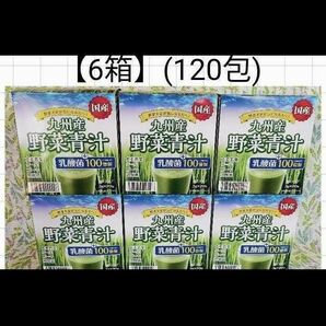 【国産】6箱[120包]九州産野菜青汁/乳酸菌100億個/　