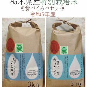 栃木県産コシヒカリ、ゆうだい21【食べくらべセット】白米3kg×2