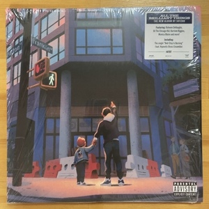 SKYZOO ALL THE BRILLIANT THINGS LP