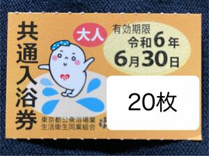 共通入浴券　銭湯　東京都公衆浴場業生活衛生同業組合　回数券　20枚