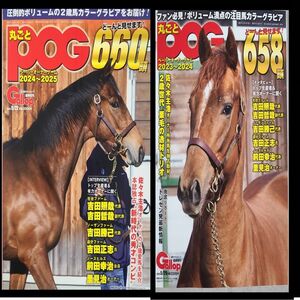 匿名配送、送料無料、週刊ギャロップ臨時増刊POG2024~2025週刊ギャロップ臨時増刊POG2023~20242冊セット！！