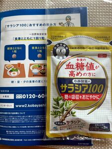 サラシア100 小林製薬 15日分 45粒 冊子付き