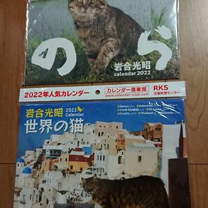 送料無料 新品 猫 2冊 2022年 壁掛け カレンダー セット のら 世界の猫 岩合光昭 辰巳出版 未使用 かわいい ねこ ネコ