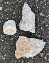 岐阜県金生山化石　ウミユリ　分離品と一度分離したものがさざれ石のように固まったもの_画像6