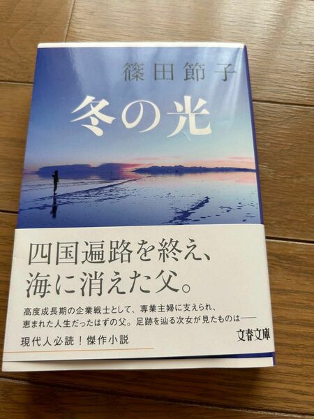 冬の光 （文春文庫　し３２－１２） 篠田節子／著