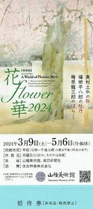 5/6迄 山種美術館 「花・flower・華2024」招待券 郵便84円発送可@UENO