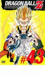 ケース無::bs::DRAGON BALL Z ドラゴンボールZ #43 レンタル落ち 中古 DVD