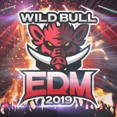 ケース無::ts::Wild Bull EDM 2019 レンタル落ち 中古 CD