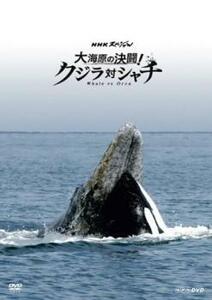 NHKスペシャル 大海原の決闘! クジラ対シャチ レンタル落ち 中古 DVD