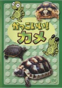 ケース無::bs::かっこいい!カメ レンタル落ち 中古 DVD