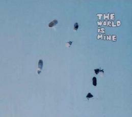 ケース無::ts::THE WORLD IS MINE レンタル落ち 中古 CD