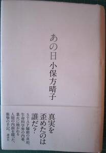 あの日　小保方晴子　【山297