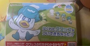 ポケモンセンター クワッス ティッシュ