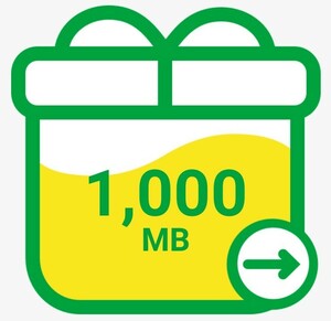 コード通知 mineo パケットギフト 1000MB マイネオ パケットギフトコード