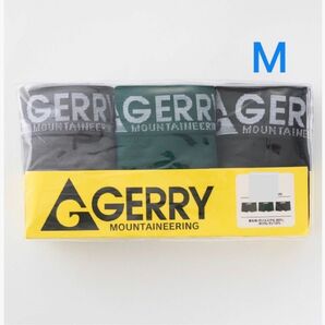 《期間限定値下げ》新品☆ ジェリー GERRY 前閉じ ボクサーブリーフ 3枚（Mサイズ）