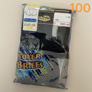 新品☆ ボーイズ 男児 ボクサーブリーフ パンツ 2枚組（100cm）