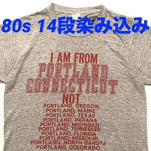 80s チャンピオン トリコタグ ビンテージ Tシャツ 14段染み込みプリント USA製 Champion(杢グレー,Mサイズ) バータグ 70s フロッキー