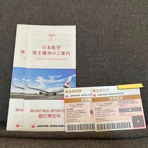 送料無料　日本航空 JAL 株主優待 割引券 2枚 　有効期限 2024年11月30日 割引券小冊子2冊付　おまけ