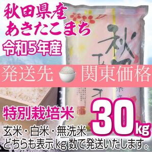 農家直送 秋田県産 令和5年 あきたこまち 30kg 特別栽培米 秋田小町 無洗米も対応