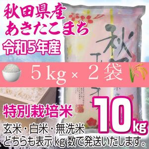 農家直送 秋田県産 令和5年 あきたこまち 10kg 特別栽培米 秋田小町 無洗米も対応