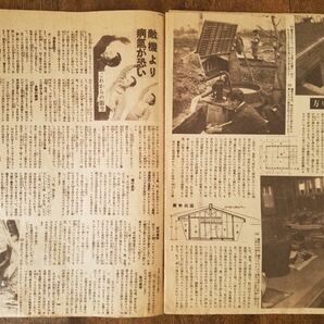 終戦直前 写真集報 昭和 20年 4月/5月/6月号 3冊 セット 1945 日本 軍 国民 ヒトラー 沖縄 陸軍 海軍 戦争 ミリタリー 戦前 戦中 軍事 資料の画像10