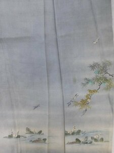 〔楽布〕P29086　明治時代の　夏　絽　着物　大正ロマン　ｋ