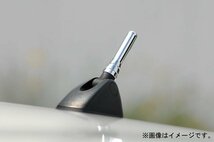 JDM スーパーショートアンテナブラス 真鍮 クロームメッキ イグニス FF21S エスクード エブリィワゴン DA17W スズキ_画像6