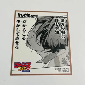 非売品 特典 アニメイト ジャンプ カード 色紙 ペーパー ハイキュー