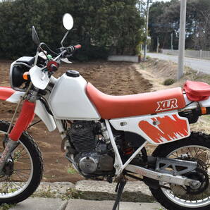 値下げ！ホンダ XLR250BAJA バハ MD22 XL 林道 ツーリング モトクロス 好調 実動 売り切り！ 人気  セロー KLX CRM XR モタード の画像5