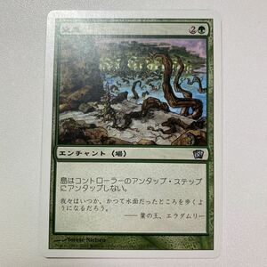 窒息　日本語　MTG 8ED