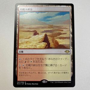 灼陽大峡谷　日本語　MTG モダンホライゾン