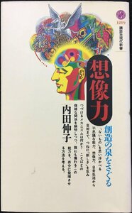 想像力: 創造の泉をさぐる (講談社現代新書 1219)