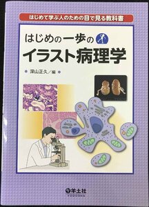 はじめの一歩のイラスト病理学