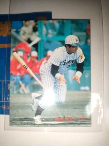 掛布雅之　87 カルビープロ野球チップス No.51　阪神タイガース