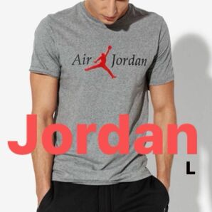 Air Jordan T-SHIRT Lサイズ マイケル ジョーダン Tシャツ NBA 