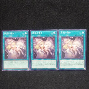 遊戯王 INFO【ノーマル/罪宝の囁き×3枚セット】インフィニット・フォビドゥン