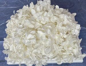  preserved flower pillar mid hydrangea 20g rom and rear (before and after) white pearl processing 