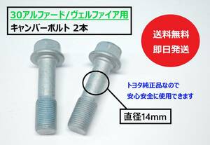 【送料無料/即日発送】 30アルファード / ヴェルファイア用 キャンバーボルト 2本 (14mm/キャンバー角 -1～1.5度 / 2本で約3度） (T2)②