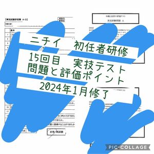 15回ニチイ初任者研修実技試験の問題と評価票