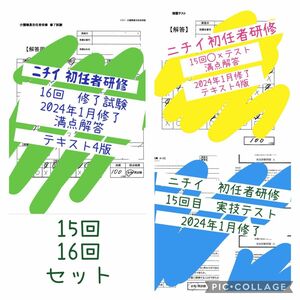 15.16回ニチイ初任者 修了試験、知識と技術の評価テスト　実技試験評価票セット