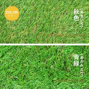 【期間限定1000円値下げ】IFA認定工場製造 人工芝 ロール1m×10m 芝丈35mm 高密度47万本/m2 ピン22本つき 人工芝生 （2色選択可）の画像2