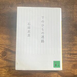 てのひらの迷路 （講談社文庫　い１０１－３） 石田衣良／〔著〕