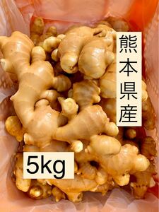 熊本県産　囲い生姜　5kg