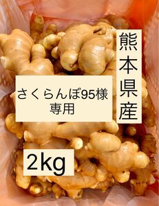 熊本県産　囲い生姜　2kg