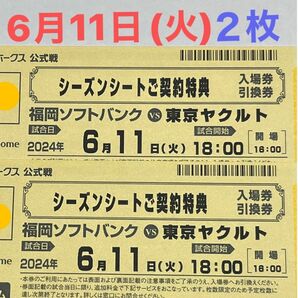 6月11日(火)２枚ヤクルト戦入場券引換券