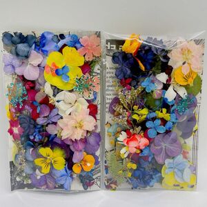 押し花＆ドライフラワー花びらフラワーパーツ　2個セット⑤