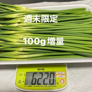 香川県産ニンニクの芽 増量600g