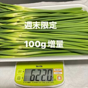 香川県産ニンニクの芽 増量600g