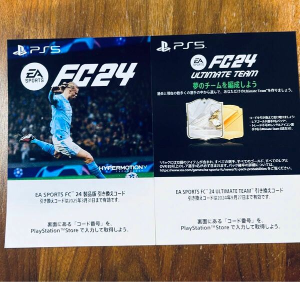 PS5 EA SPORTS FC24 ダウンロード版 